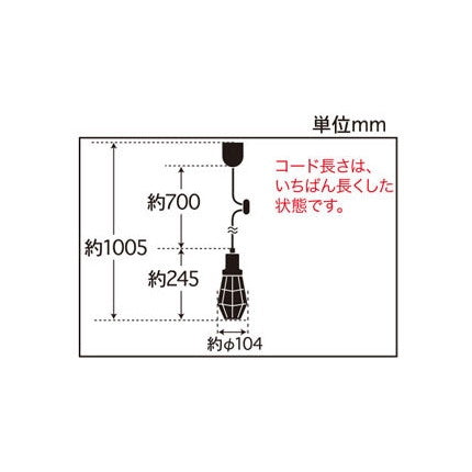 エベレスト(ビス止めガード･CP型BK) 電球ナシ